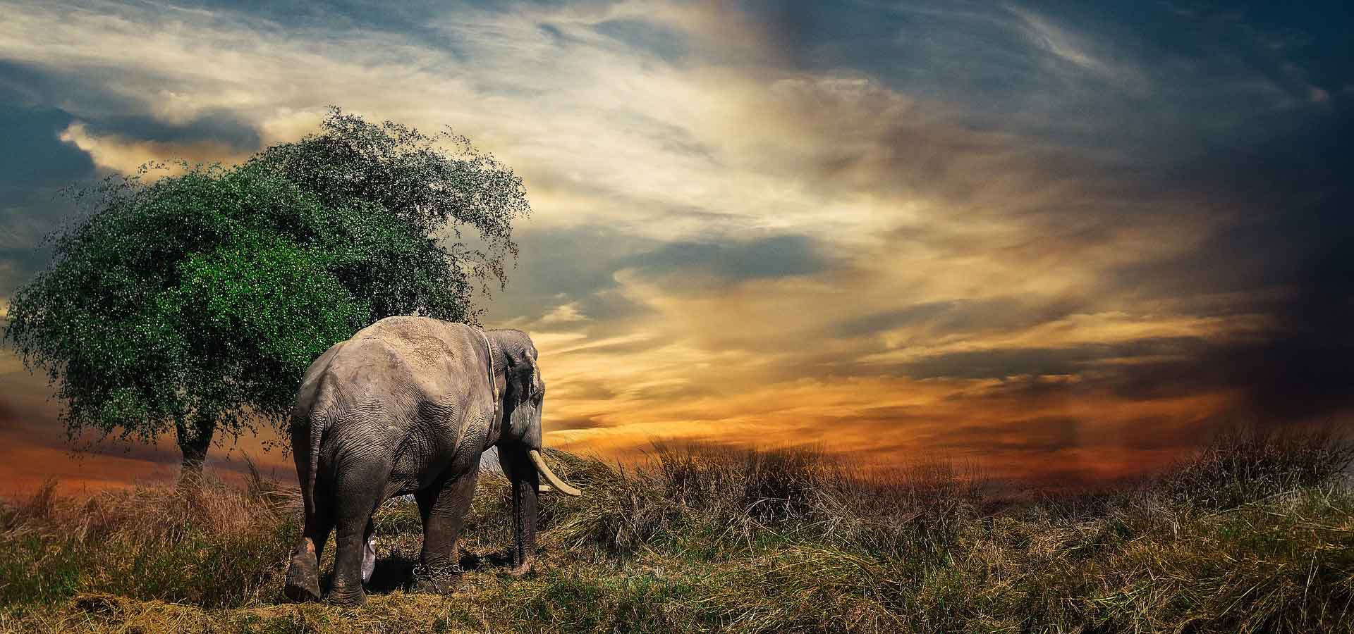 Enemy Of Truth Article by Author Steven Redhead