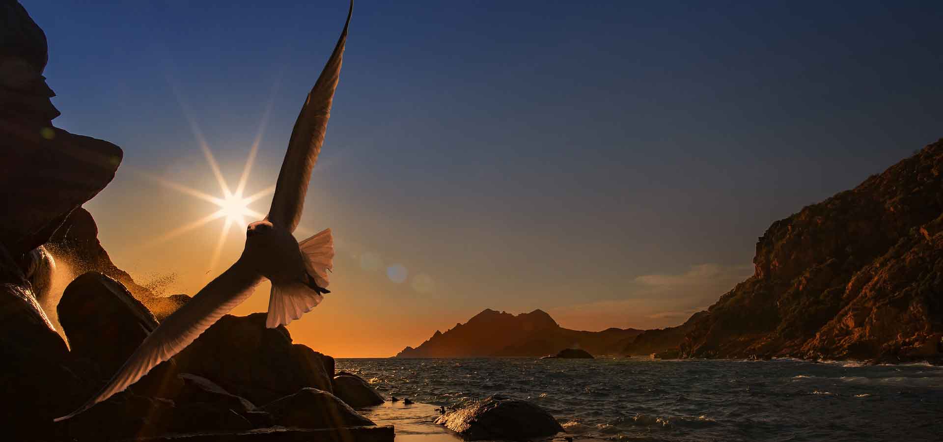 Wishes Into Reality Article by Author Steven Redhead