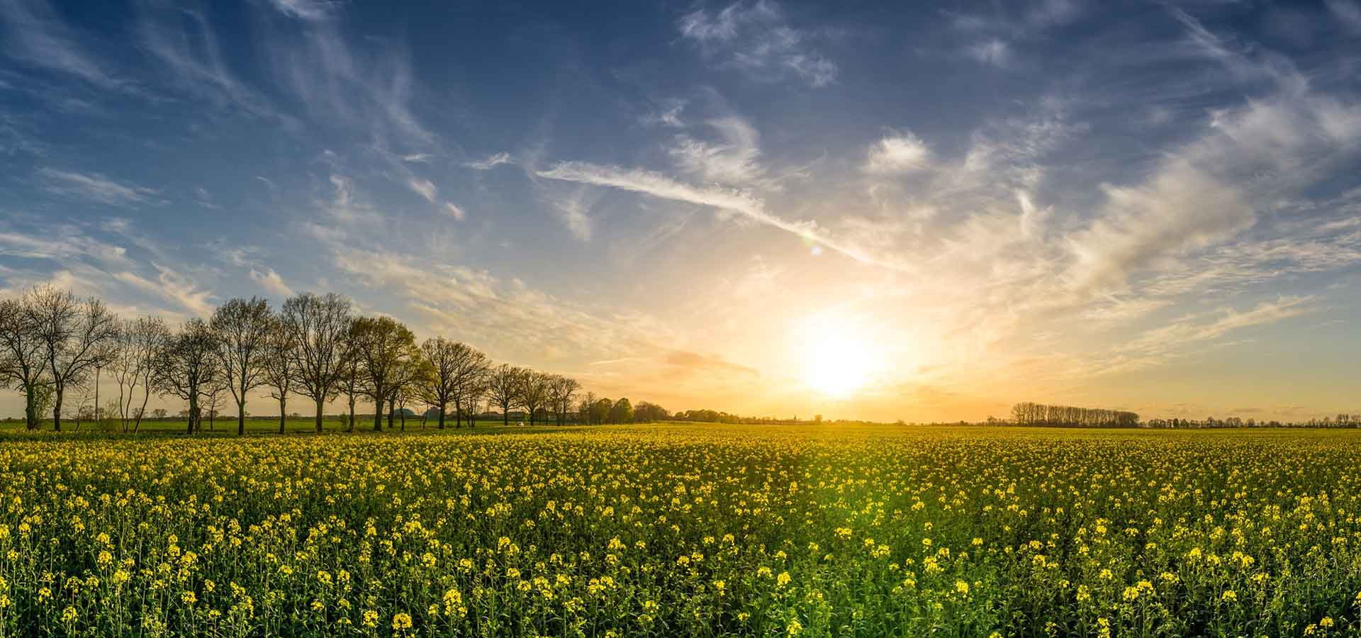 A State Of Deception Article by Author Steven Redhead